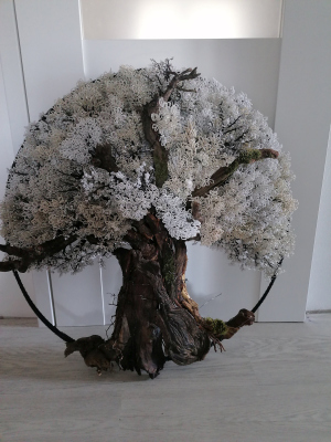 Drátované stromy života