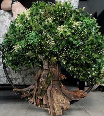 Drátované stromy života